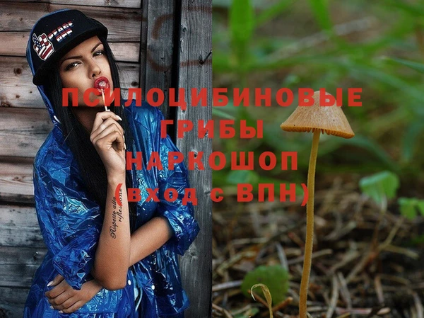 прущий лед Армянск