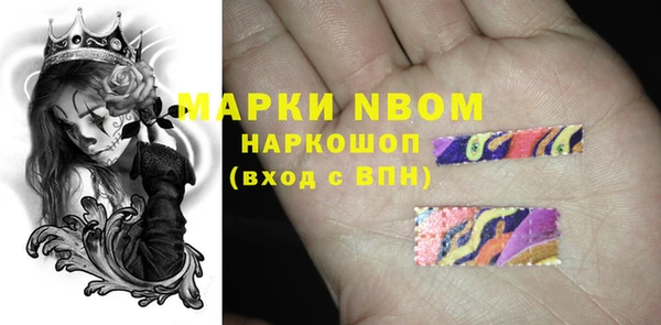 твердый Михайлов